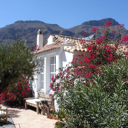 Casa Rural Palomar - Men Only (Adults Only) Hotel Fataga Exterior photo