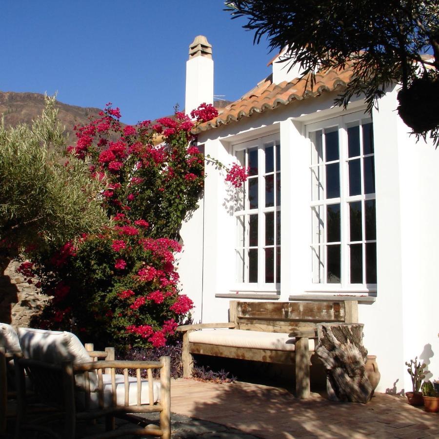 Casa Rural Palomar - Men Only (Adults Only) Hotel Fataga Exterior photo