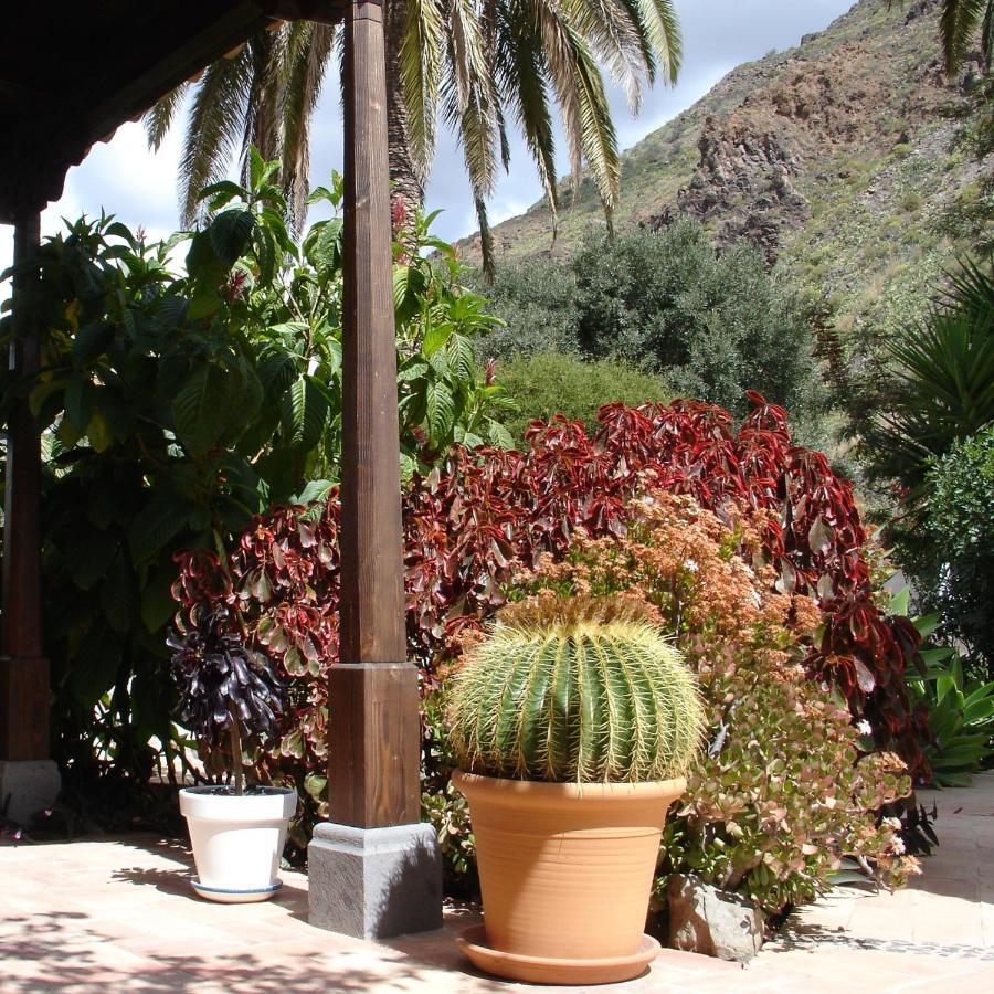 Casa Rural Palomar - Men Only (Adults Only) Hotel Fataga Exterior photo